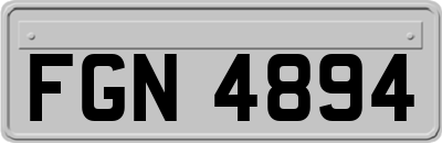 FGN4894
