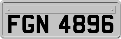 FGN4896