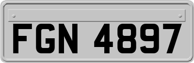 FGN4897