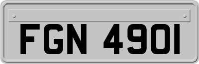 FGN4901