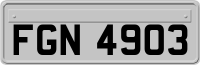 FGN4903
