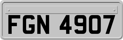 FGN4907
