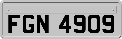 FGN4909