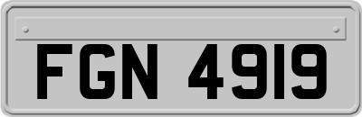 FGN4919