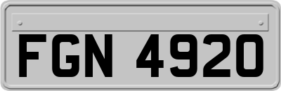 FGN4920