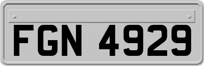 FGN4929