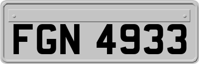 FGN4933