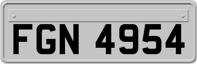 FGN4954