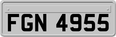FGN4955