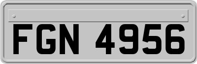 FGN4956