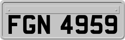 FGN4959