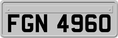 FGN4960