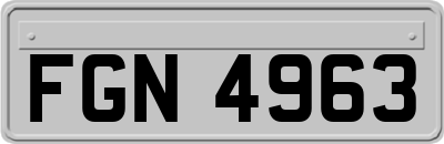 FGN4963