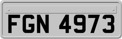 FGN4973