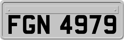 FGN4979