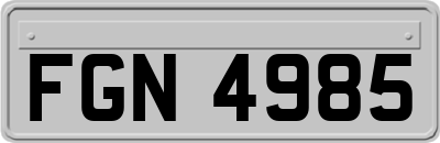 FGN4985