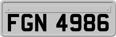 FGN4986