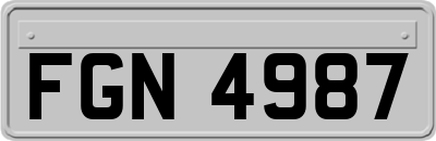 FGN4987