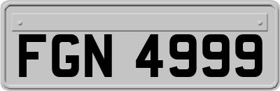 FGN4999