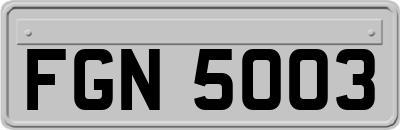 FGN5003