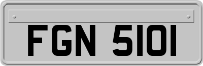FGN5101