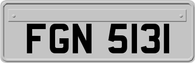 FGN5131