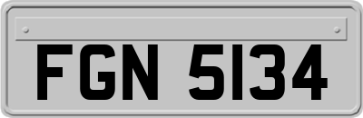 FGN5134