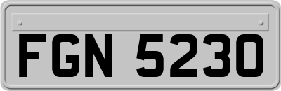 FGN5230