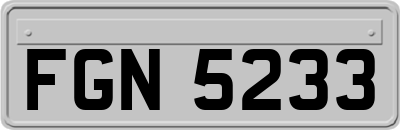 FGN5233