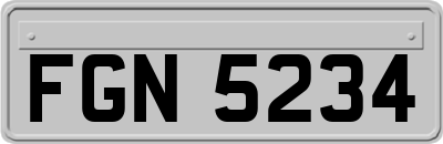 FGN5234