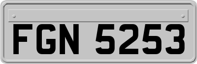 FGN5253
