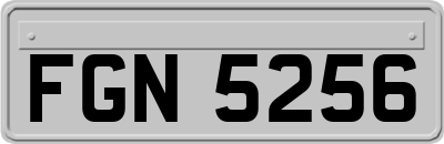 FGN5256
