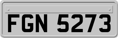 FGN5273