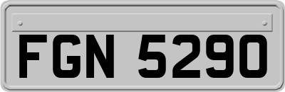 FGN5290