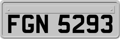 FGN5293