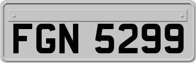 FGN5299