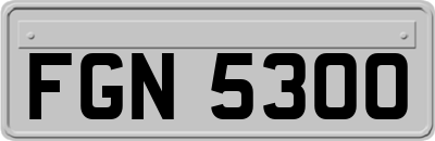 FGN5300