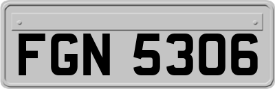 FGN5306
