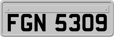 FGN5309