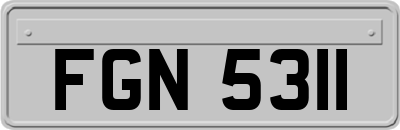 FGN5311