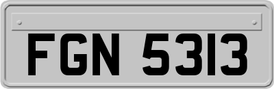 FGN5313
