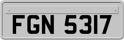 FGN5317