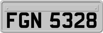 FGN5328