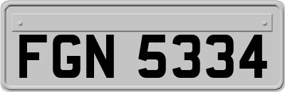 FGN5334