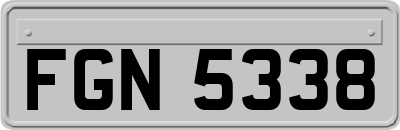 FGN5338