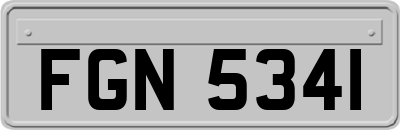 FGN5341