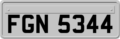 FGN5344