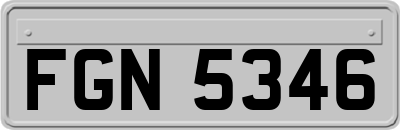 FGN5346