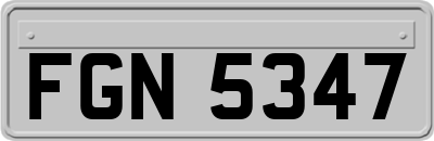 FGN5347