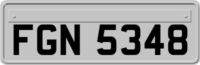 FGN5348